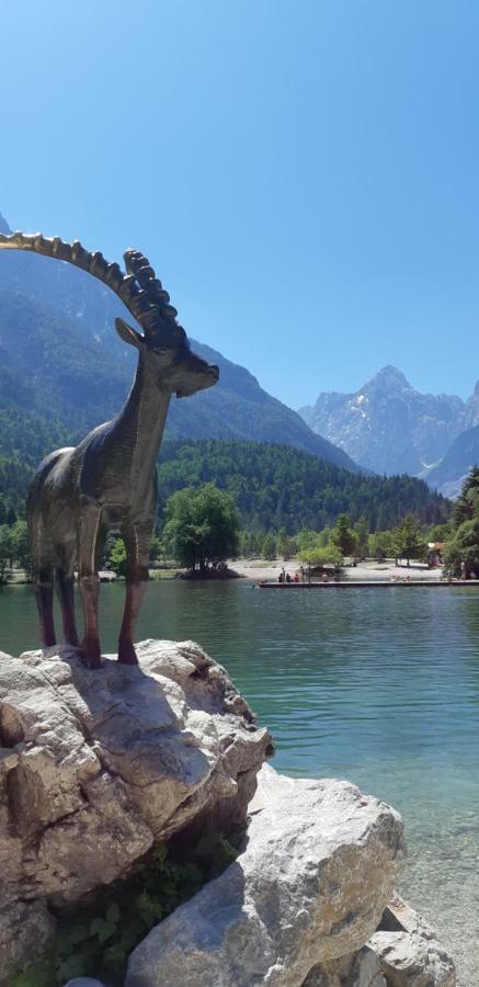 Apartmán Nigritella Kranjska Gora Exteriér fotografie